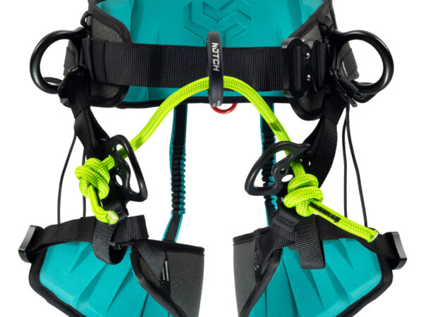 Notch Catalyst Harness
